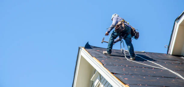 Best Roof Gutter Cleaning  in Fulton, KY